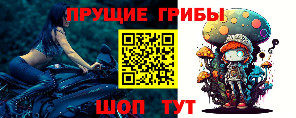 Псилоцибиновые грибы мицелий  Вход с VPN  Каменск-Шахтинский 