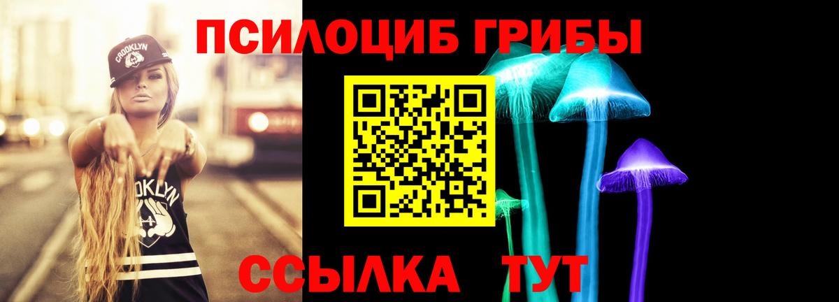 Галлюциногенные грибы Cubensis Каменск-Шахтинский